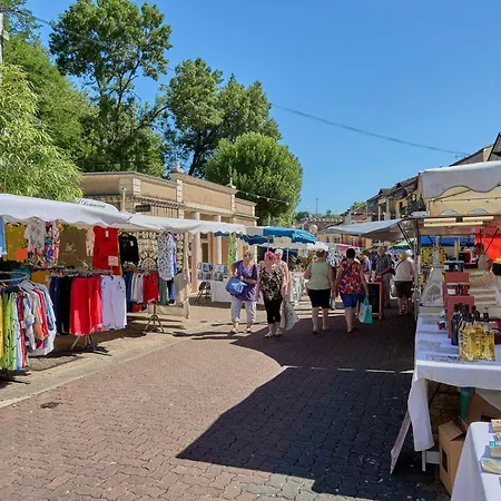 Studio Renove Pour 2 Pers. A Barbotan-Les-Thermes, Wifi, Animaux Autorises - Fr-1-841-78